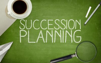 Succession Planning 101 for Lynnwood Businesses